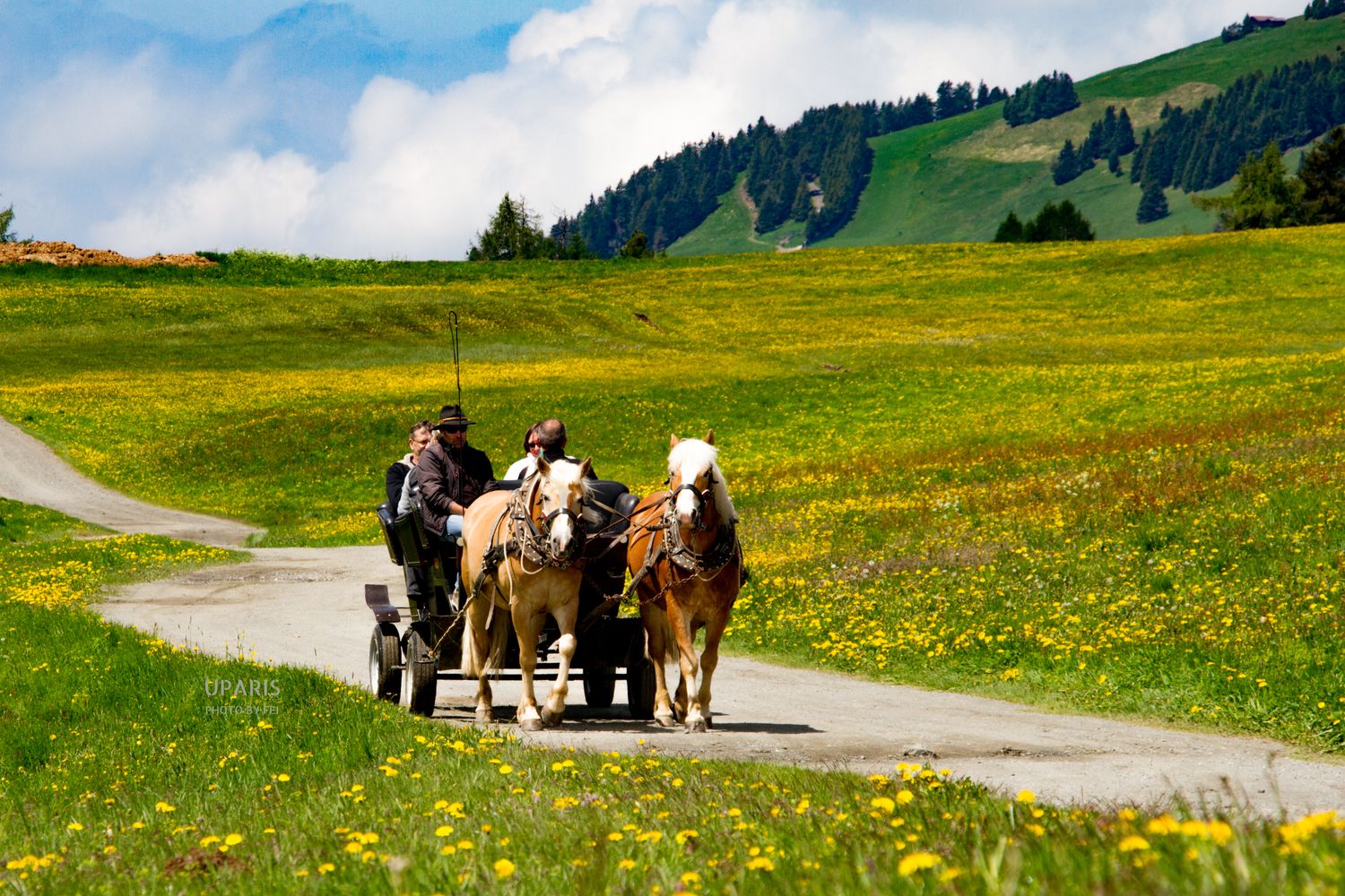Trek des Dolomites