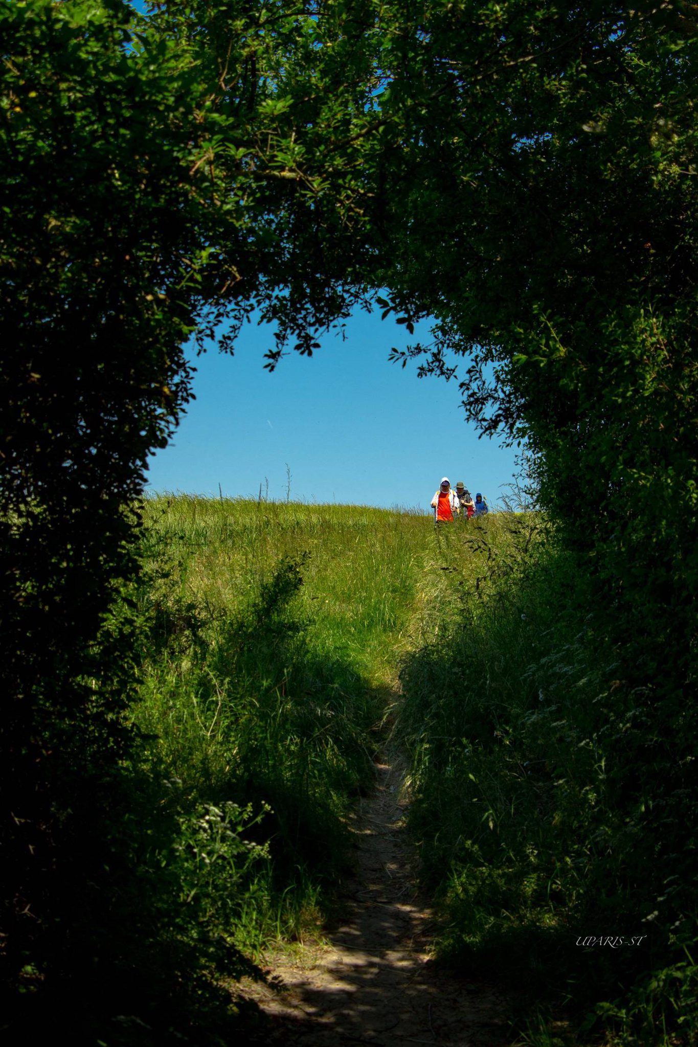 Randonnée dans la vallée de l'Essonne