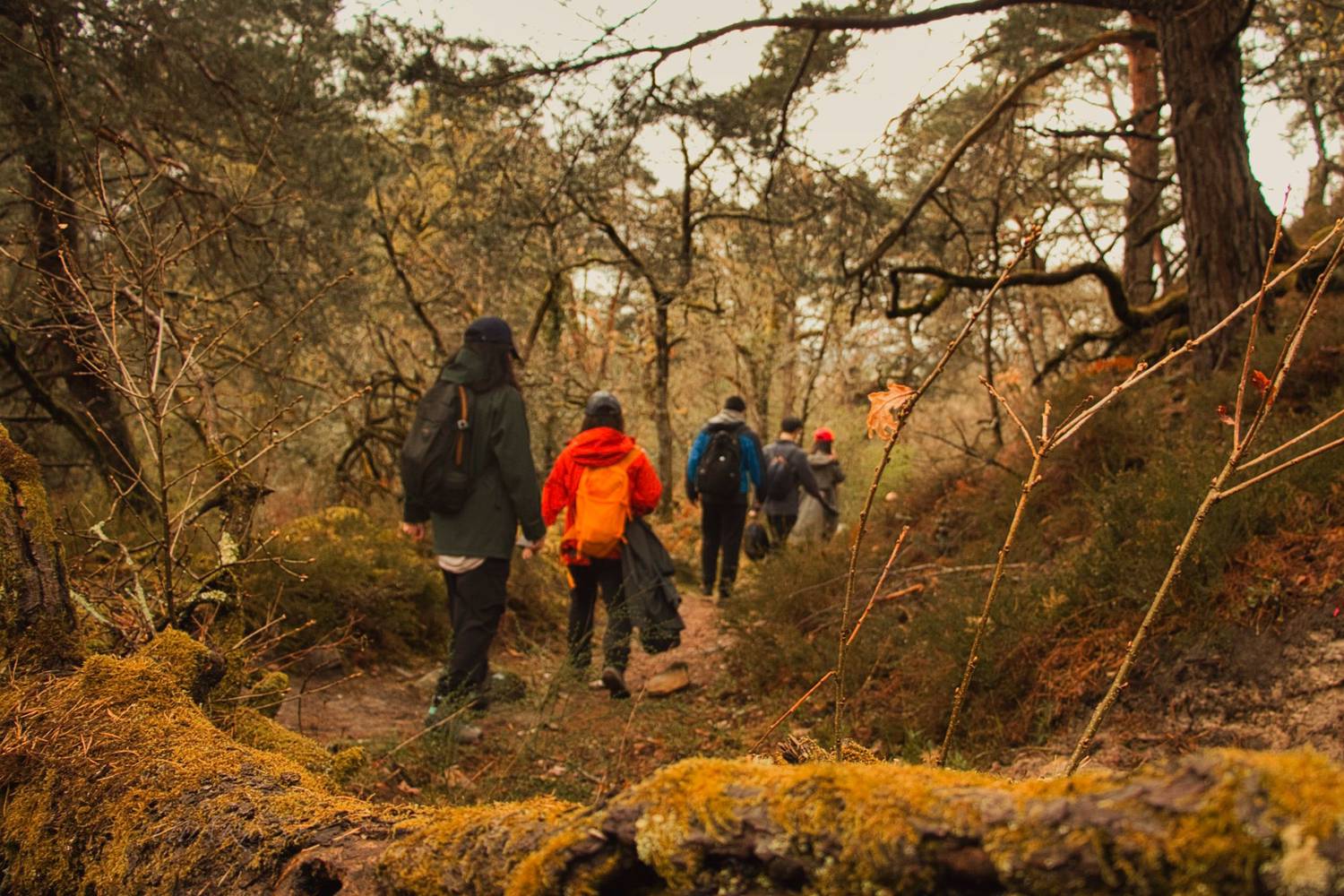 Randonnée à Barbizon