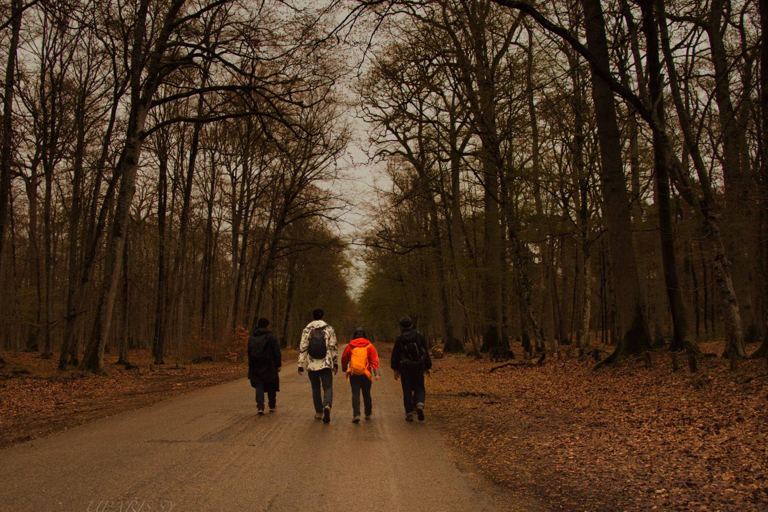 Randonnée à Barbizon