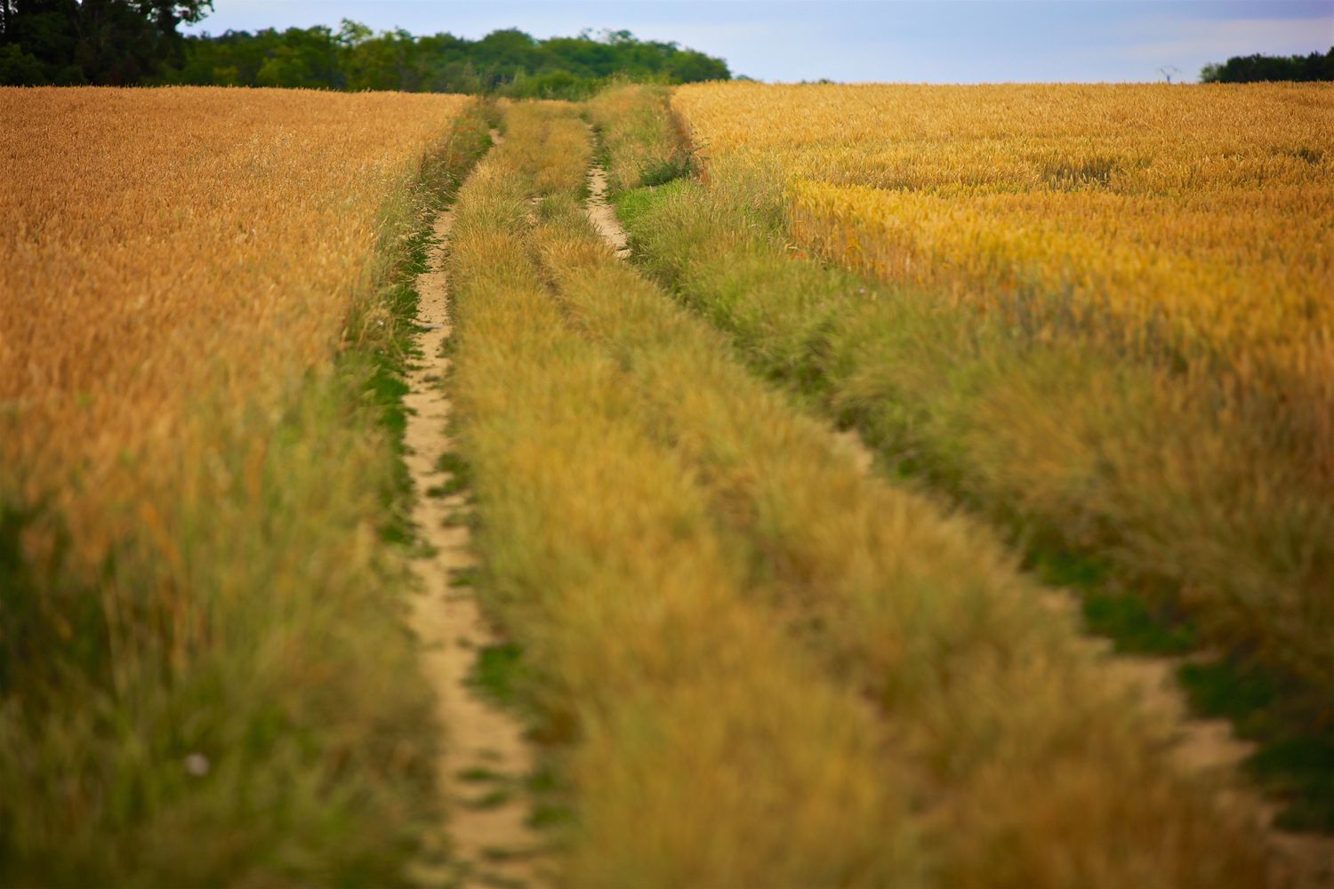 Oise riverside hike