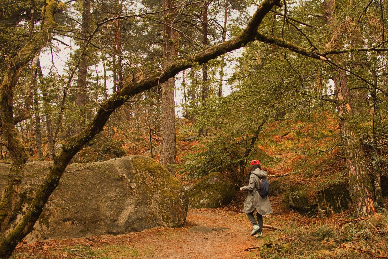 Randonnée à Barbizon