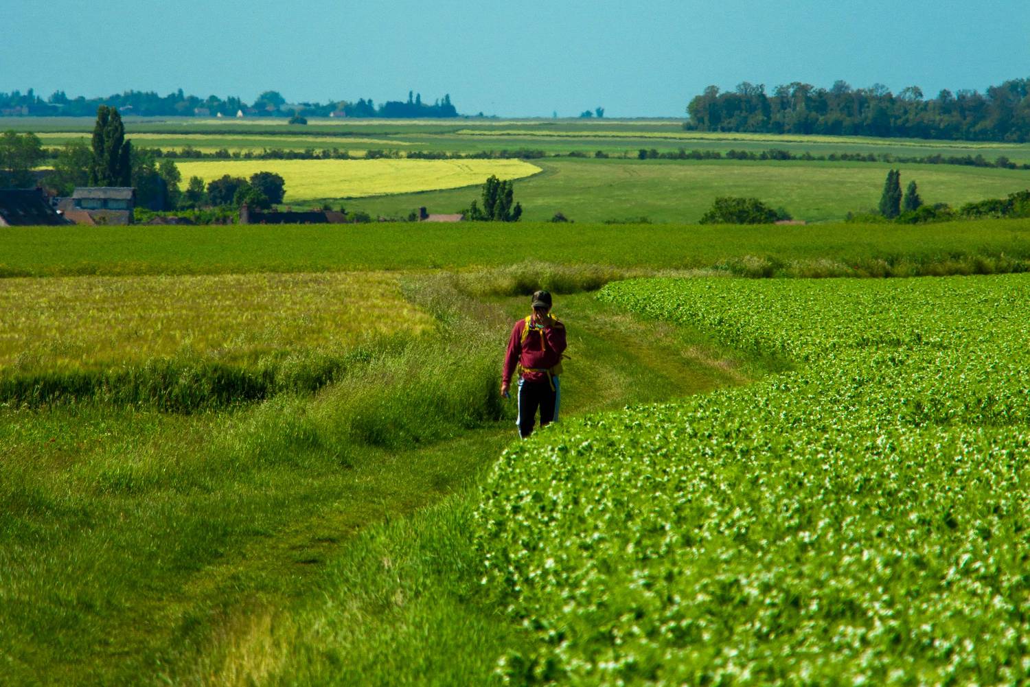 Randonnée à Houdan