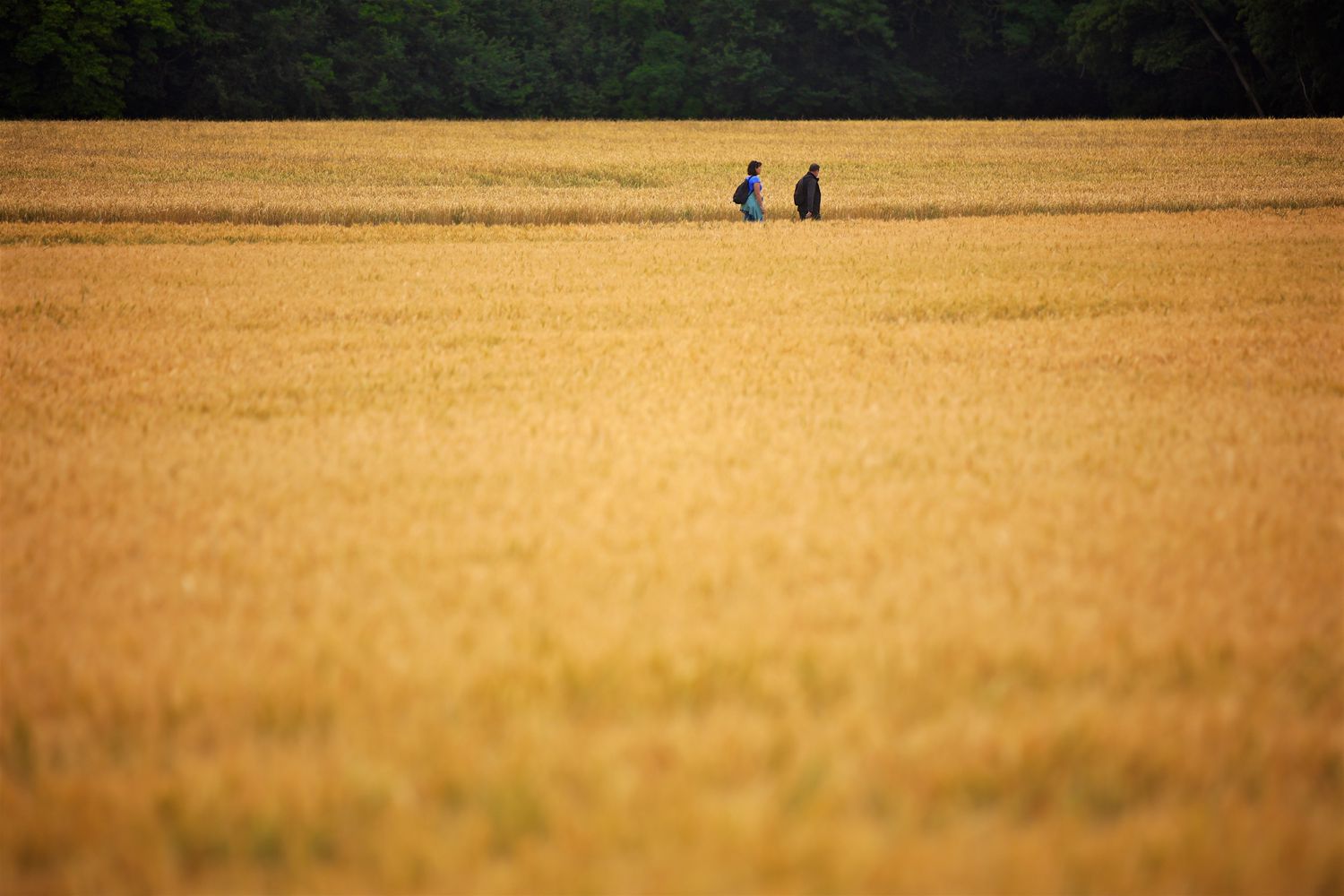Oise riverside hike